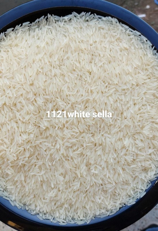 White Sella from India